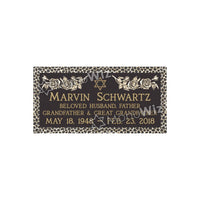 Single Bronze Plaque 24L x 12W - Design# S2008